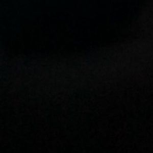 Meet your Posher, Lola